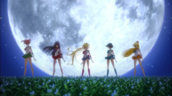 Bishoujo-Senshi-Sailor-Moon-Crystal_capture_ecran_006