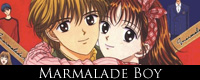 Marmalade-Boy