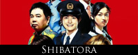 Shibatora